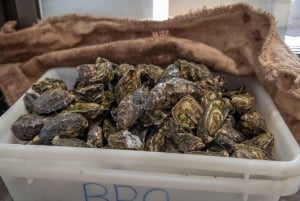 Farm to Plate - Sydney's Oyster Heartland