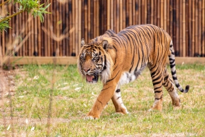 Featherdale Wildlife Park Private Tour