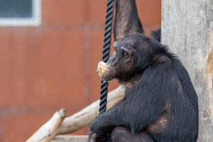 Featherdale Wildlife Park Private Tour