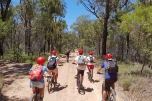 Depuis les Blue Mountains : Randonnée en vélo électrique de montagne, Hanging Rock