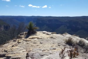 De Blue Mountains: Passeio de bicicleta elétrica na montanha, Hanging Rock