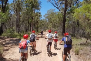 From Blue Mountains: Mountain e-Bike Ride, HANGING ROCK
