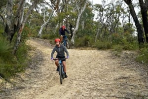 From Blue Mountains: Mountain e-Bike Ride, HANGING ROCK