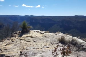 From Blue Mountains: Mountain e-Bike Ride, HANGING ROCK