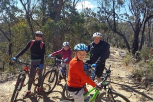 From Blue Mountains: Mountain e-Bike Ride, HANGING ROCK