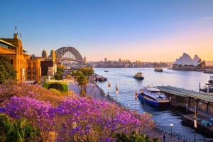 From Melbourne: One Way Coach Transfer to Sydney