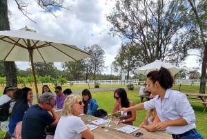 Vanuit Newcastle: Hunter Valley Bier & Wijn Groepstour