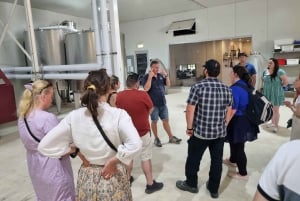 Vanuit Newcastle: Hunter Valley Bier & Wijn Groepstour