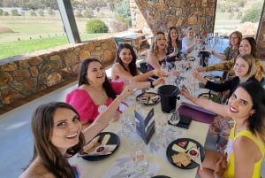 Vanuit Newcastle: Hunter Valley Bier & Wijn Groepstour