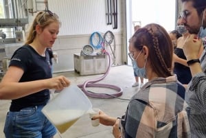 Vanuit Newcastle: Hunter Valley Bier & Wijn Groepstour