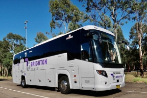 Från Sydney 1 dagstur på Perisher Snow Tour