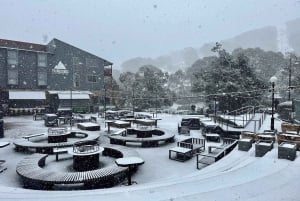 Góry Śnieżne: 1-dniowa śnieżna przygoda w Thredbo z Sydney