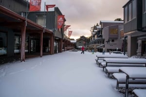 Góry Śnieżne: 1-dniowa śnieżna przygoda w Thredbo z Sydney