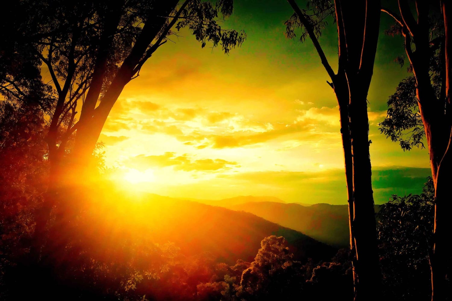 Desde Sidney: 2 días de acampada en las Montañas Azules en 4x4 y crucero por el río