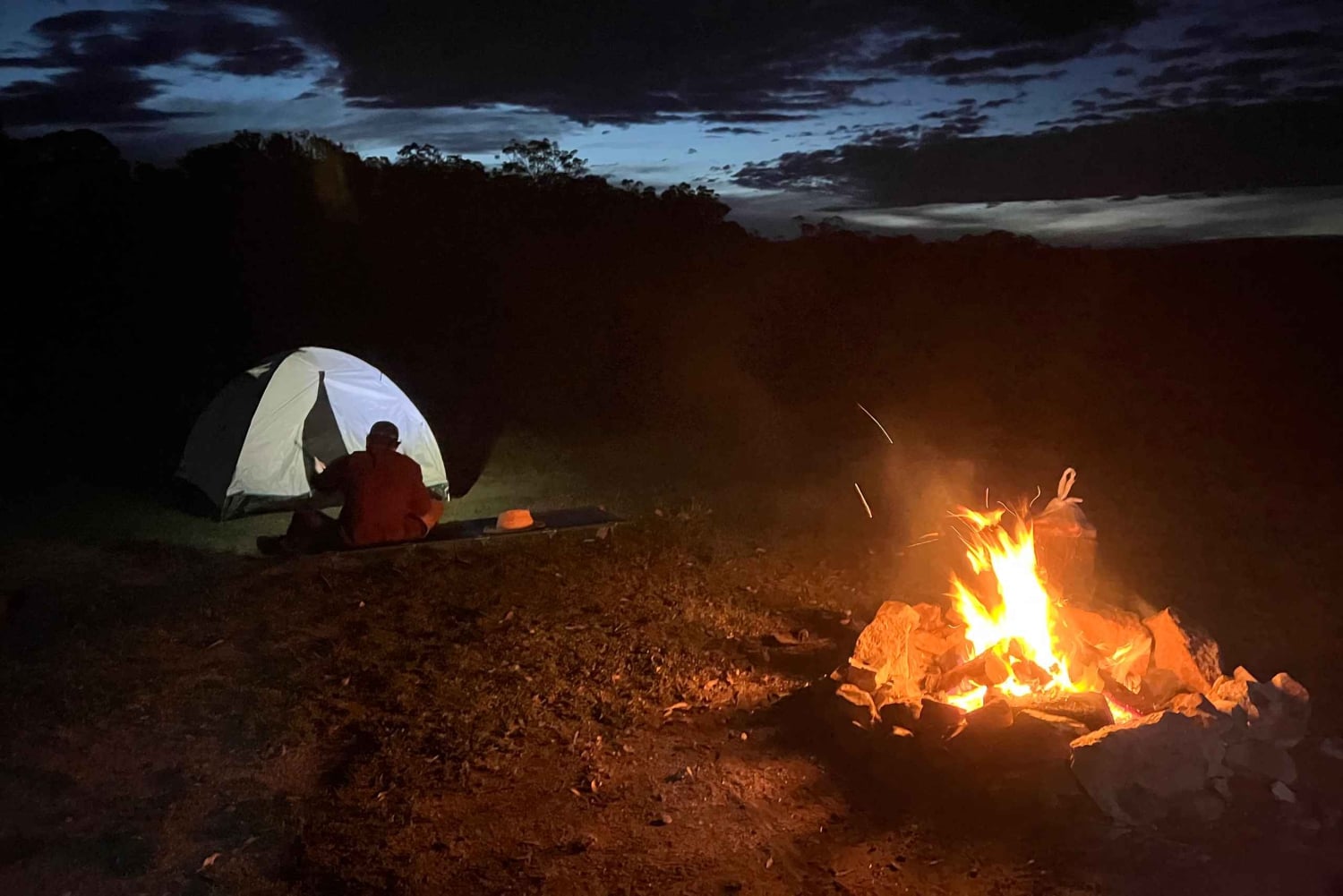 Desde Sidney: 2 días de acampada en las Montañas Azules en 4x4 y crucero por el río