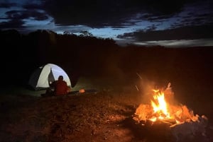 Fra Sydney: 2-dages camping i Blue Mountains med 4WD og flodkrydstogt