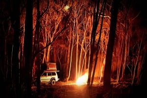 Från Sydney: 2-dagars camping i Blue Mountains med fyrhjulsdrift och flodkryssning