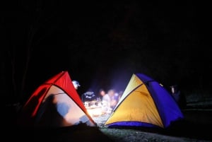 Från Sydney: 2-dagars camping i Blue Mountains med fyrhjulsdrift och flodkryssning