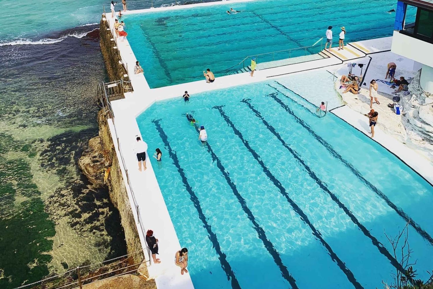 Från Sydney flygplats: Privat stadsvandring i Sydney