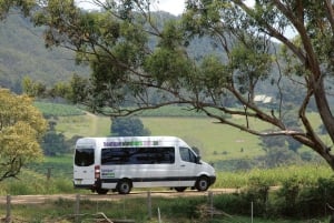 シドニー発：オールインクルーシブ・ブティック・ハンターバレー・ワインツアー