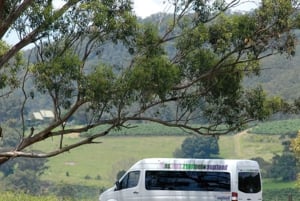 シドニー発：オールインクルーシブ・ブティック・ハンターバレー・ワインツアー