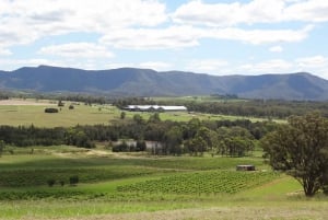 Sydneystä: Palkittu Hunter Valley Wine & Cheese Tour