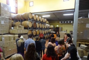 Sydneystä: Palkittu Hunter Valley Wine & Cheese Tour