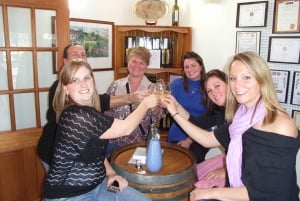 Sydneystä: Palkittu Hunter Valley Wine & Cheese Tour