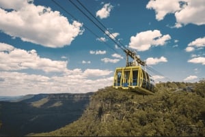 Fra Sydney: Blue Mountains og Featherdale-tur