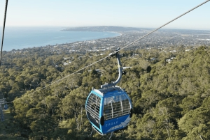 Vanuit Sydney: Blue Mountains en Featherdale Tour