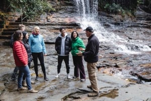 From Sydney: Blue Mountains Bushwalks & Featherdale Tour