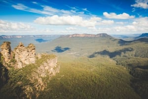 From Sydney: Blue Mountains Bushwalks & Featherdale Tour