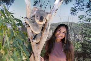 From Sydney: Blue Mountains Day Tour & Hop-on, Hop-off Tour