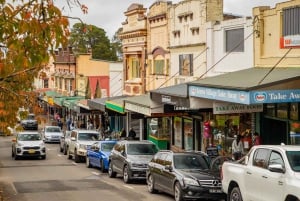 From Sydney: Blue Mountains Day Tour & Hop-on, Hop-off Tour