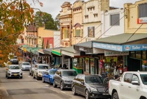 Fra Sydney: Dagstur i Blue Mountains og Hop-on, Hop-off-tur