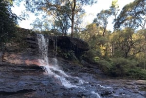 From Sydney: Blue Mountains Day Trip with River Cruise