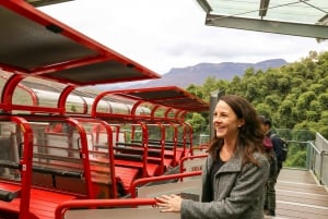 From Sydney: Blue Mountains Full-Day Trip