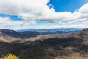Blue Mountains: escursione di un giorno da Sidney