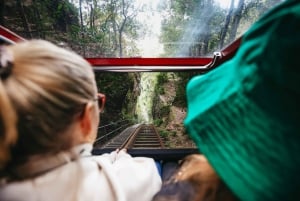 From Sydney: Guided Day Trip to Blue Mountain & Scenic World