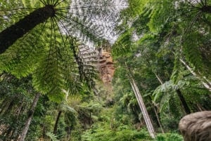 From Sydney: Blue Mountains, Scenic World All Inclusive Tour