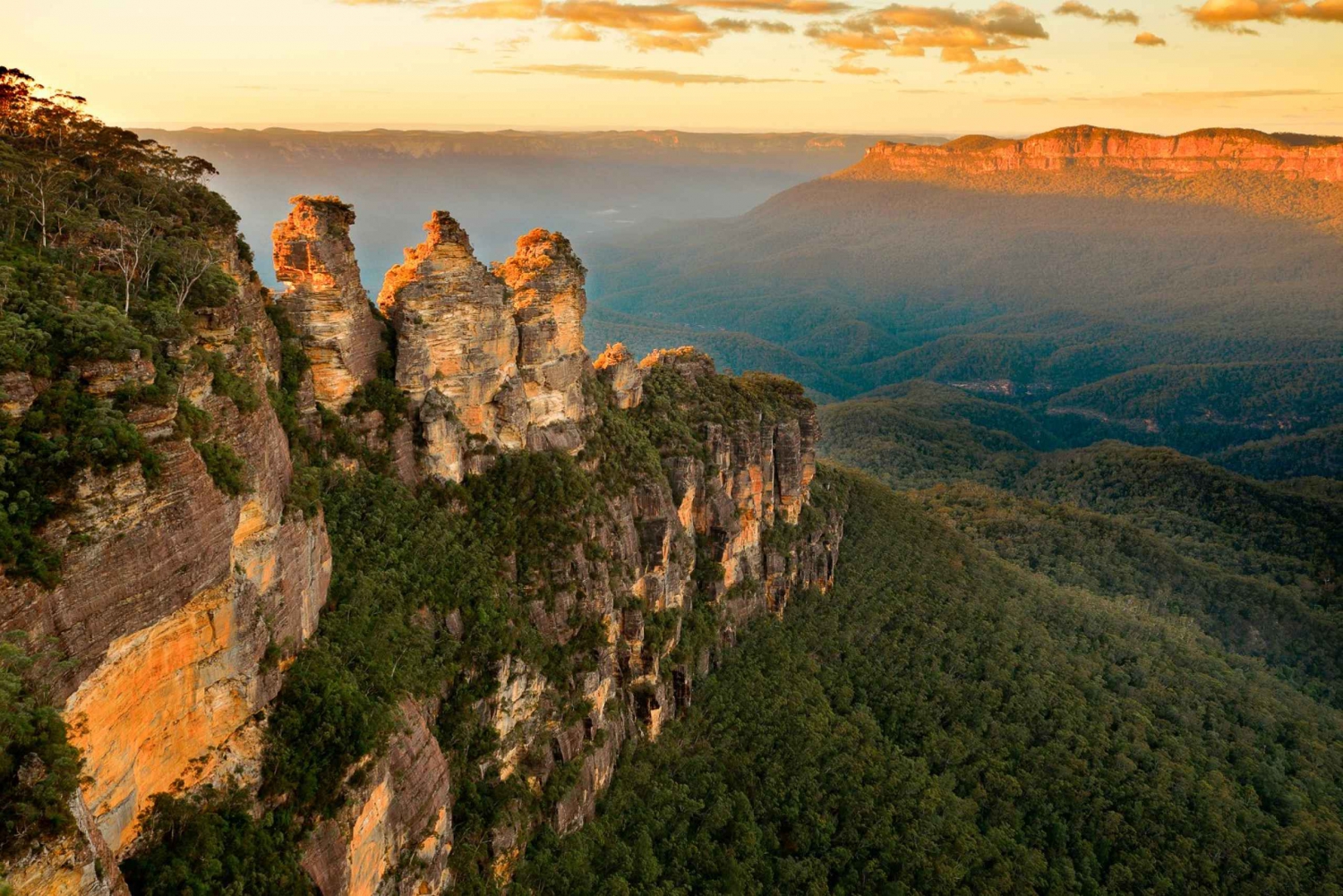 Au départ de Sydney : Excursion dans la nature et la faune des Montagnes Bleues