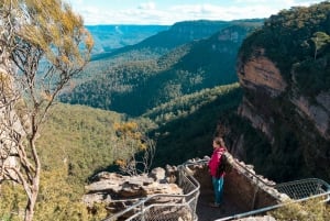 From Sydney: Blue Mountains Nature and Wildlife Tour