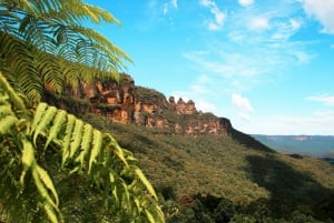 Från Sydney: Natur- och djurlivstur i Blue Mountains