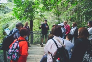 Von Sydney aus: Blue Mountains Natur und Tierwelt Tour