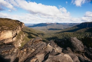 De Sydney: Excursão pela natureza e vida selvagem das Blue Mountains