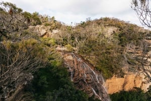 De Sydney: Excursão pela natureza e vida selvagem das Blue Mountains