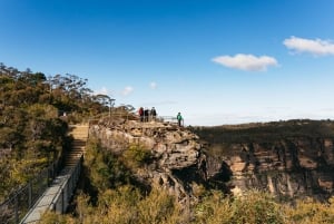 Sydneystä: Blue Mountains Nature and Wildlife Tour