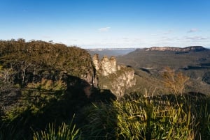 Vanuit Sydney: Blue Mountains Natuur- en Wildlife Tour