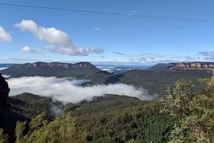 Von Sydney aus: Blue Mountains Private Tour mit Wildlife Park