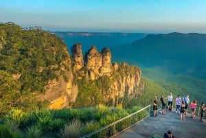 Fra Sydney: Blue Mountains privat tur med dyrepark